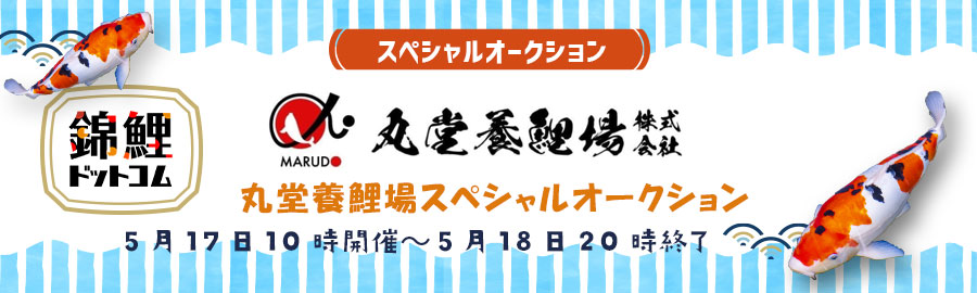 KOI's Auction